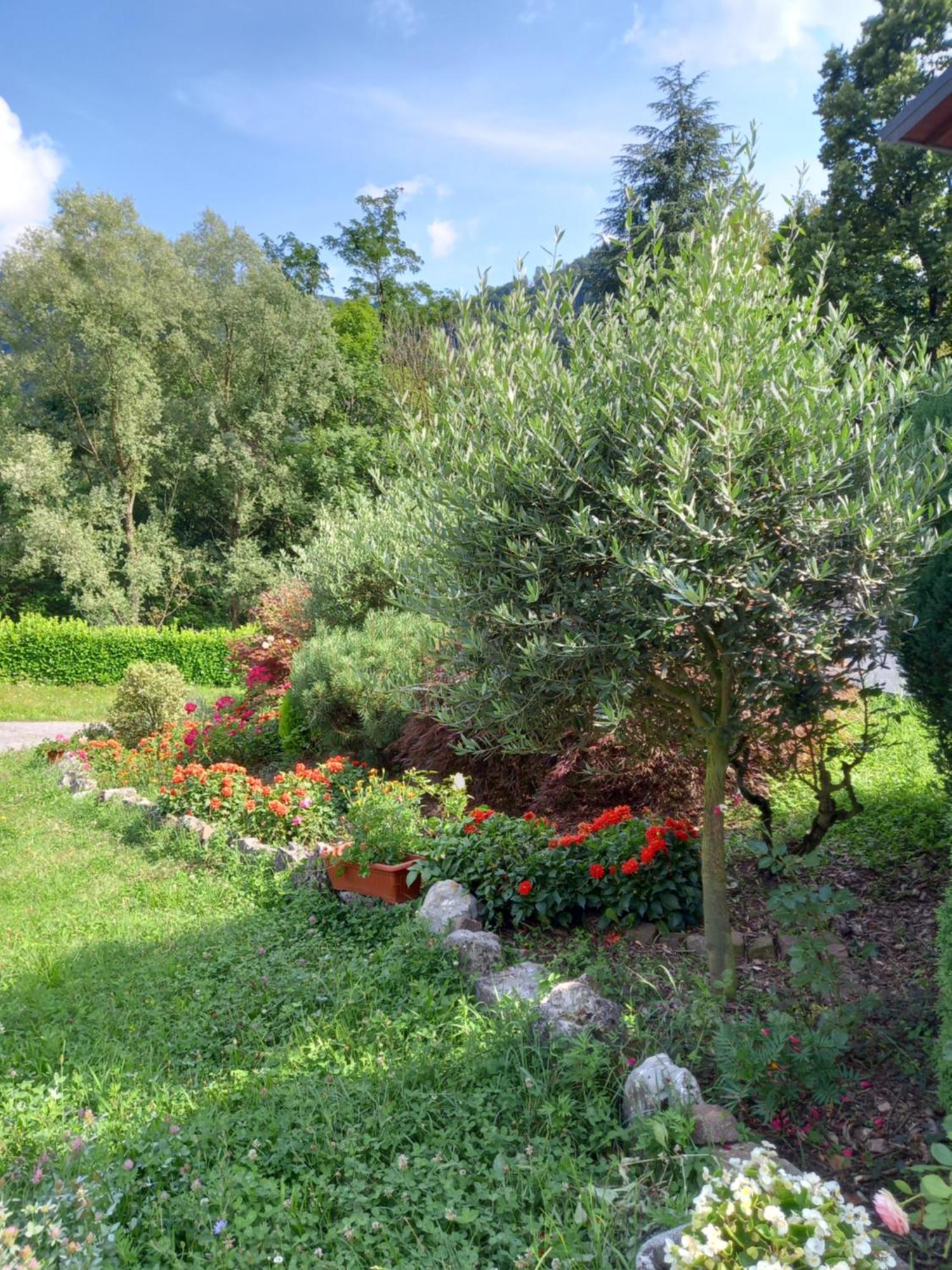 Casa Vacanze Tania Somendenna Εξωτερικό φωτογραφία